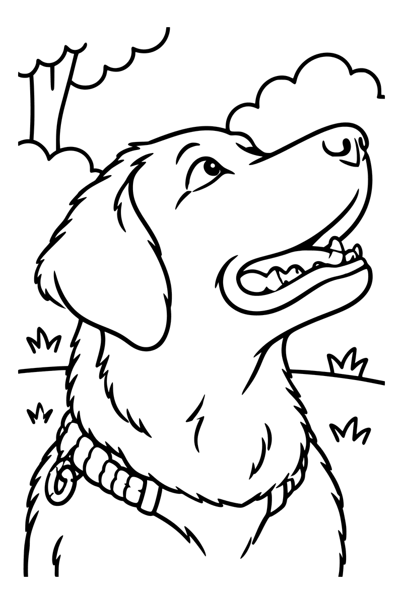 The coloring page made from the labrador photo